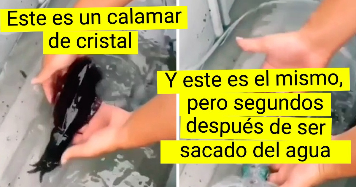 15 Seres que parecen tener un fragmento de ADN extraterrestre