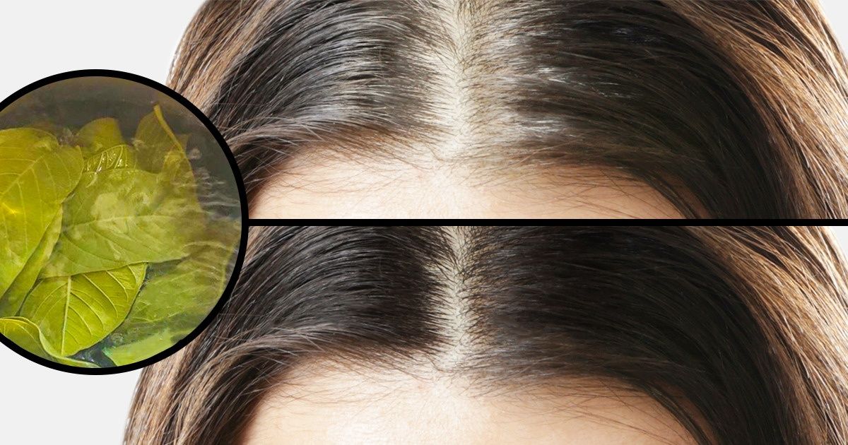 15 Innovadores consejos para el bienestar de tu cabello que pueden simplificar tu vida 15 Innovadores consejos para el bienestar de tu cabello que pueden simplificar tu vida