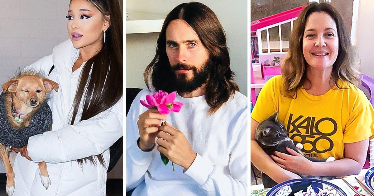 25 Famosos que no comen carne y los motivos por los cuales no lo hacen 25 Famosos que no comen carne y los motivos por los cuales no lo hacen