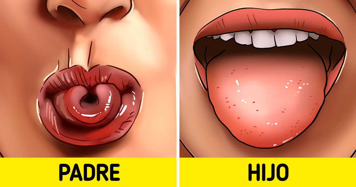 8 Ideas sobre el cuerpo humano que nunca cuestionamos