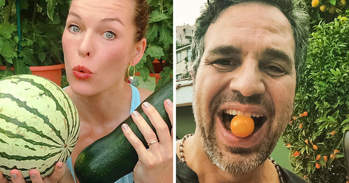 15 Famosos que empezaron a cultivar sus frutas y verduras en casa 15 Famosos que empezaron a cultivar sus frutas y verduras en casa
