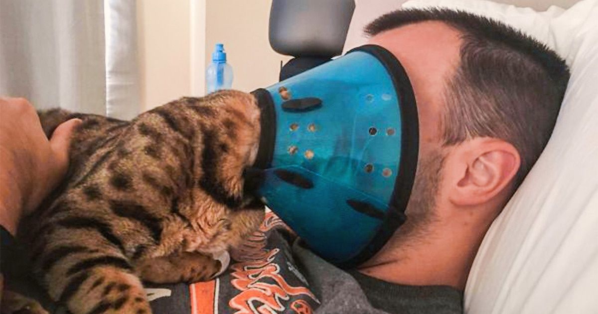 20 Mascotas que tienen cero tolerancia por los límites personales de sus dueños 20 Mascotas que tienen cero tolerancia por los límites personales de sus dueños