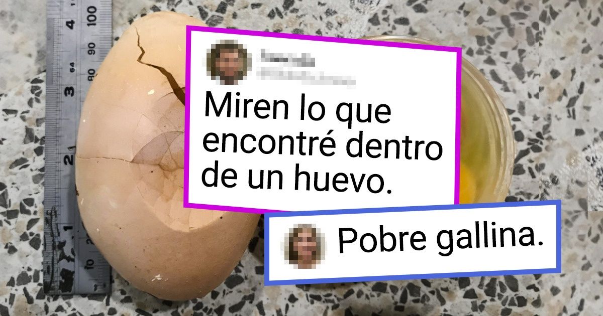 19 Personas que no esperaban encontrarse con una sorpresa en un objeto común