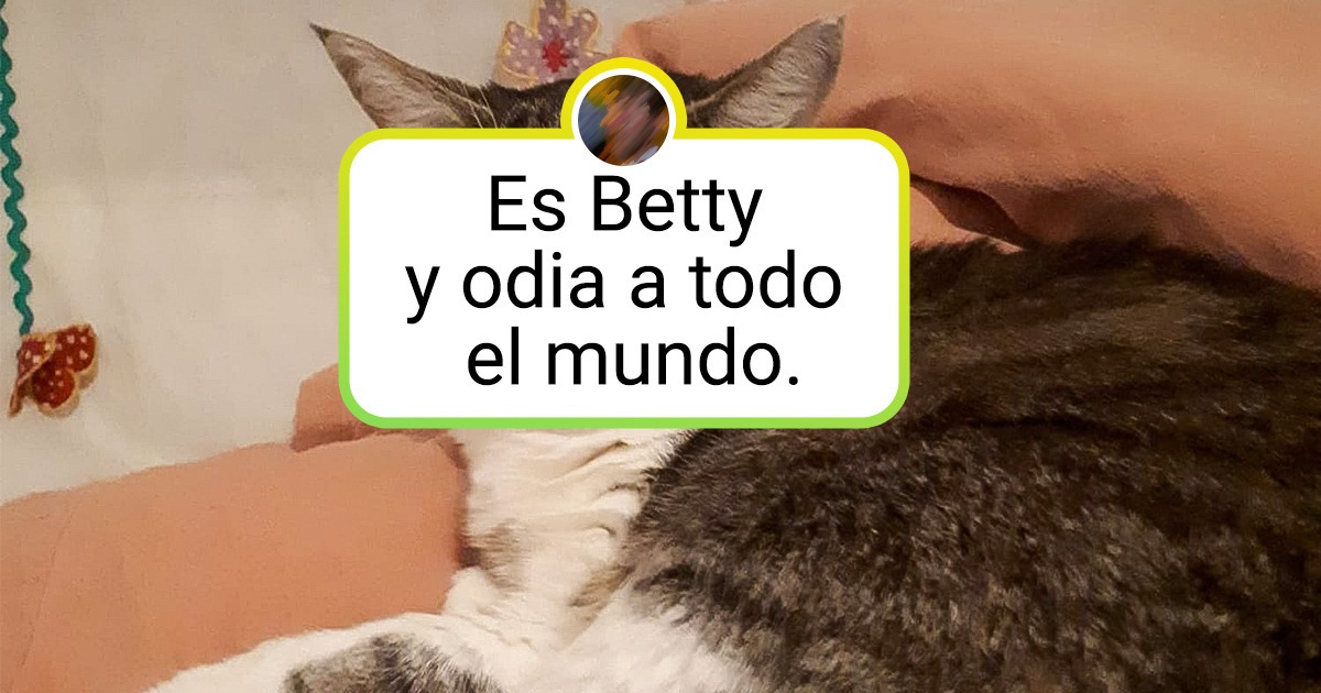 20 Mascotas inigualables que merecen un premio Oscar por su expresión facial