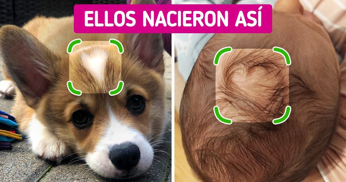 18 Veces en que las personas encontraron corazones en los lugares menos esperados y aún no era San Valentín 18 Veces en que las personas encontraron corazones en los lugares menos esperados y aún no era San Valentín