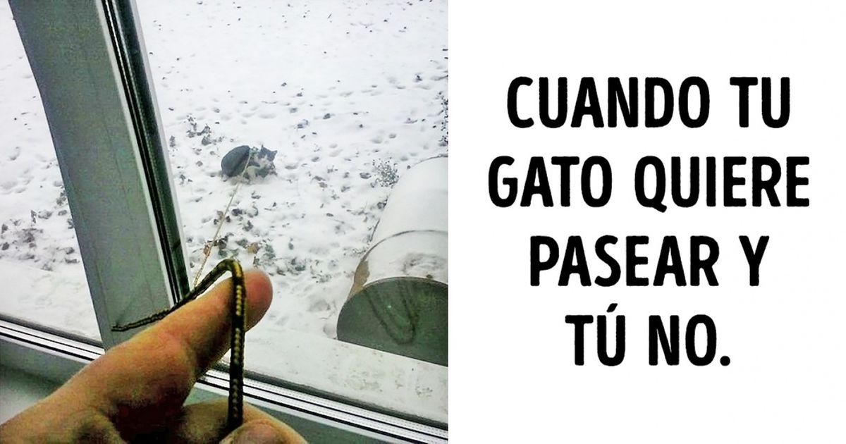 19 Personas que llevaron la pereza a un nuevo nivel
