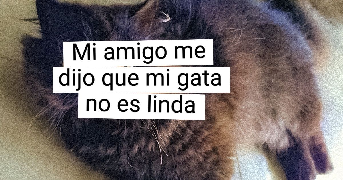 16 Historias fotográficas que prueban que el amor de las personas por los animales es más fuerte que los sentimientos de Romeo y Julieta 16 Historias fotográficas que prueban que el amor de las personas por los animales es más fuerte que los sentimientos de Romeo y Julieta