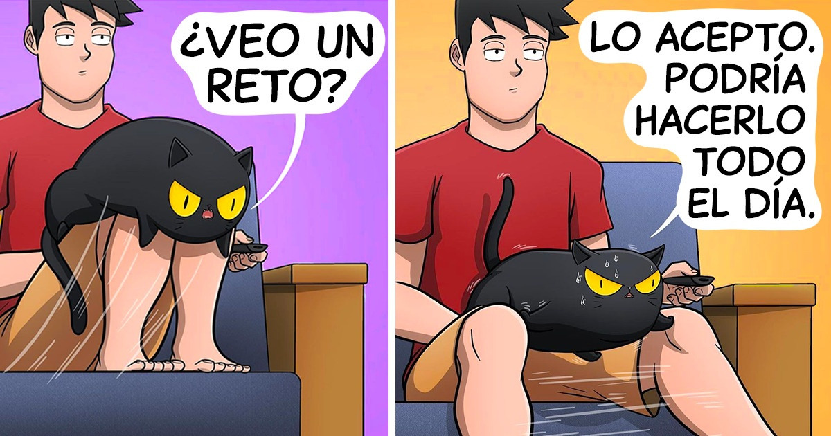 20 Situaciones que muestran como los gatos son los amos de la casa