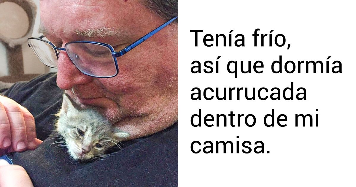14 Fotos que muestran la profundidad de las relaciones entre animales y humanos