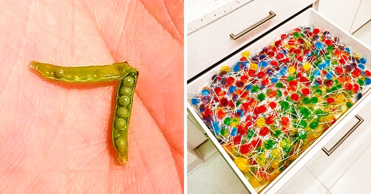 23 Personas con un talento sorprendente para encontrar cosas raras