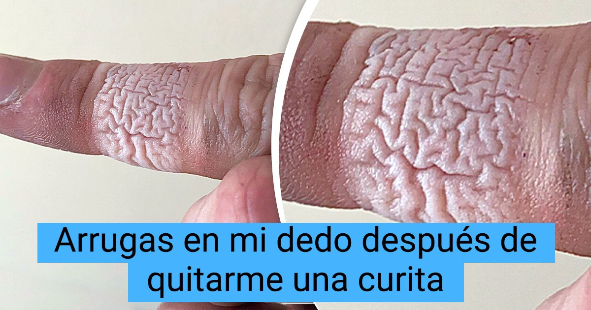 15 Fotos que muestran cosas de todos los días desde una nueva perspectiva