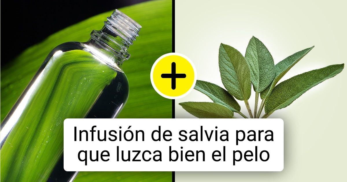 9 Consejos de estilistas profesionales para que tu cabello permanezca limpio y voluminoso durante más tiempo 9 Consejos de estilistas profesionales para que tu cabello permanezca limpio y voluminoso durante más tiempo