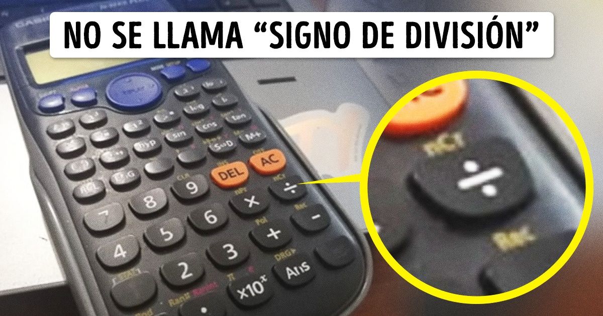 19 Cosas cuyo verdadero nombre quizás no conoces, a pesar de haberlas visto muchas veces 19 Cosas cuyo verdadero nombre quizás no conoces, a pesar de haberlas visto muchas veces