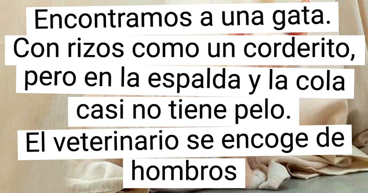 15+ Bellos ejemplos de cruzas de razas de animales domésticos que aparentemente eran incompatibles 15+ Bellos ejemplos de cruzas de razas de animales domésticos que aparentemente eran incompatibles
