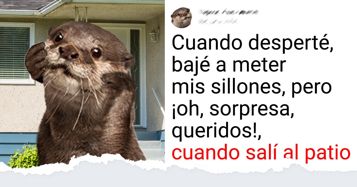 La vez que lavé mi sala y el señor de la basura creyó que ya no servía