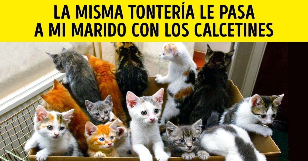 14 Comentarios que te harán reír de las fotos más comunes