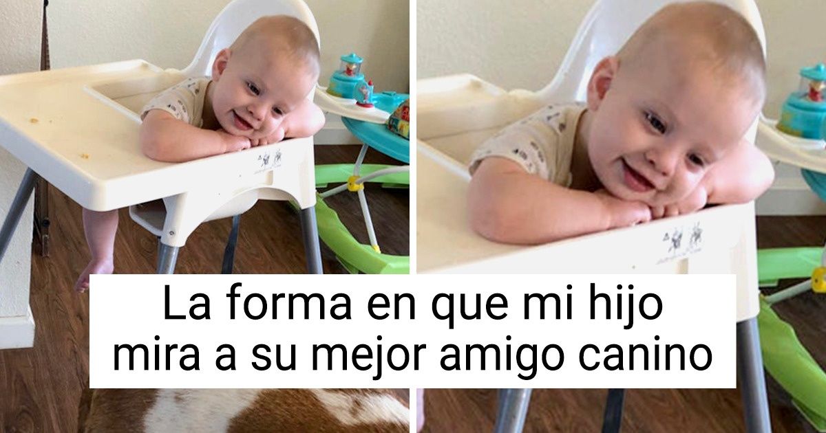 20+ Niños que nos conmueven profundamente por sus cálidos corazones 20+ Niños que nos conmueven profundamente por sus cálidos corazones