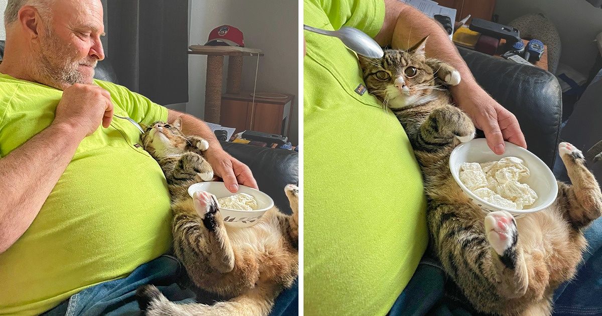 17 Padres que dijeron “no” a las mascotas, pero terminaron queriéndolas como a nadie en el mundo