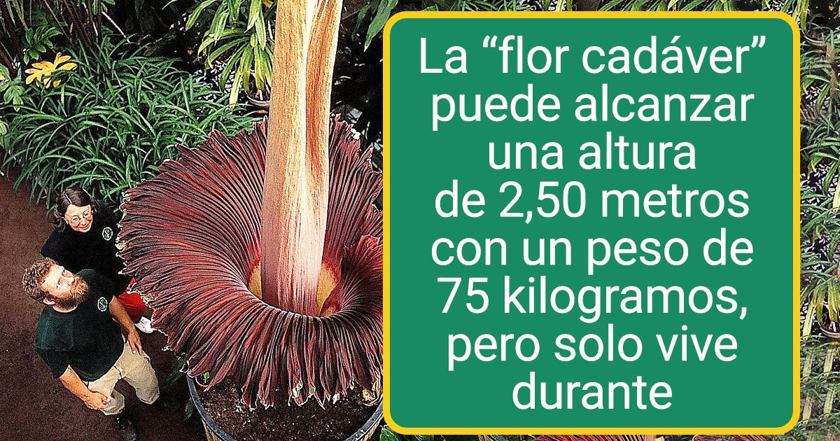 15 Seres vivos que se ganaron un galardón por sus peculiares características 15 Seres vivos que se ganaron un galardón por sus peculiares características