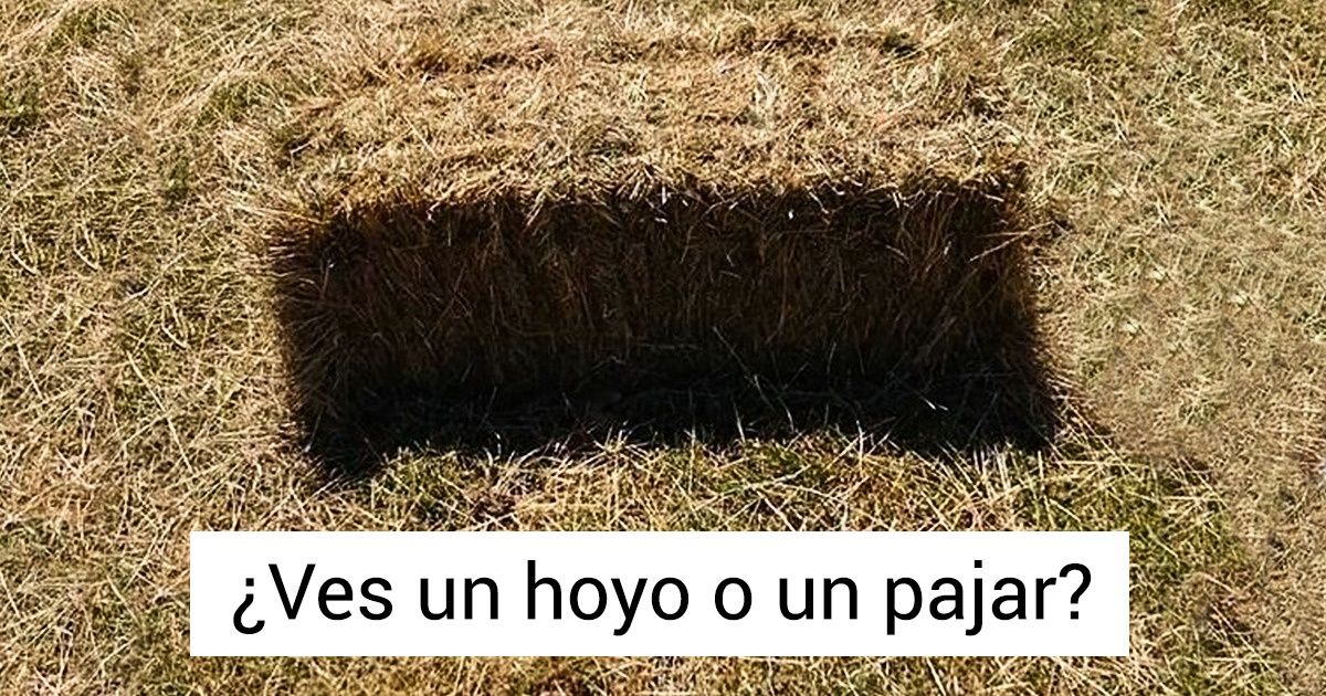 20+ Fotos en las que todo salió mejor de lo que se podía imaginar