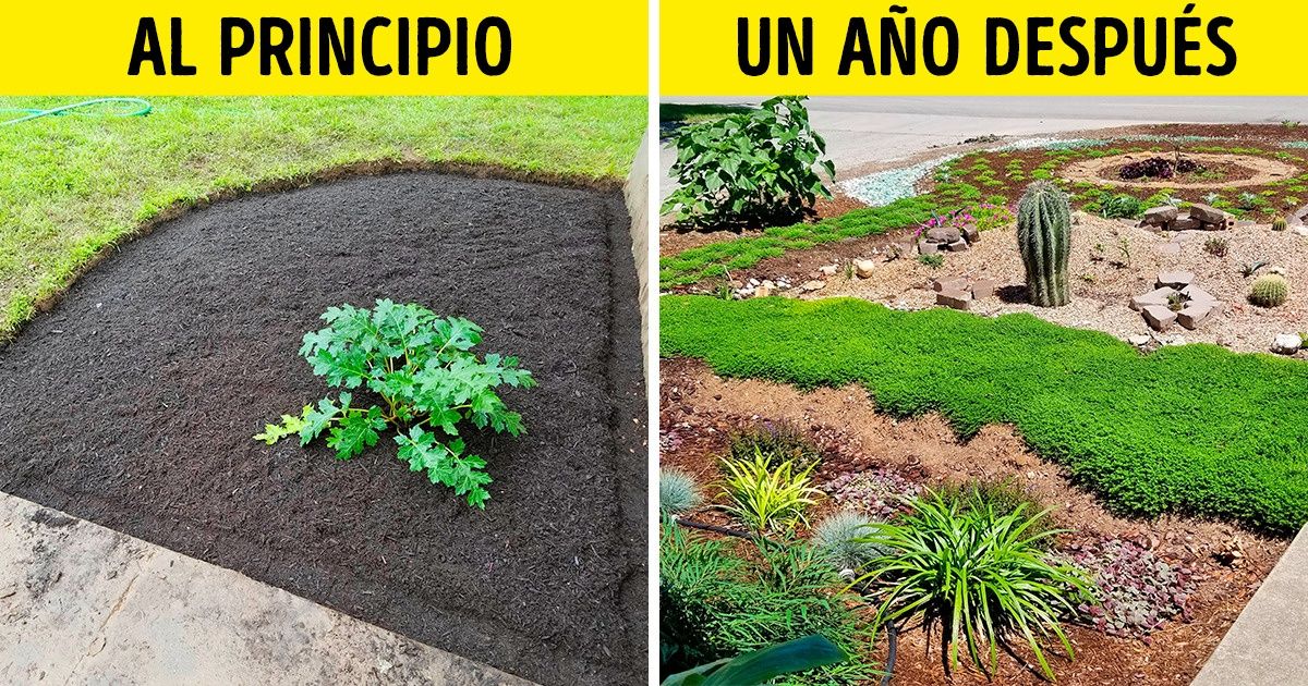Un hombre cultiva un jardín en memoria de su esposa. Y, por la noche, un extraño misterioso lo ayuda Un hombre cultiva un jardín en memoria de su esposa. Y, por la noche, un extraño misterioso lo ayuda
