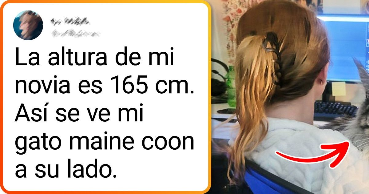 18 Pruebas de que los animales grandes poseen un encanto magnético