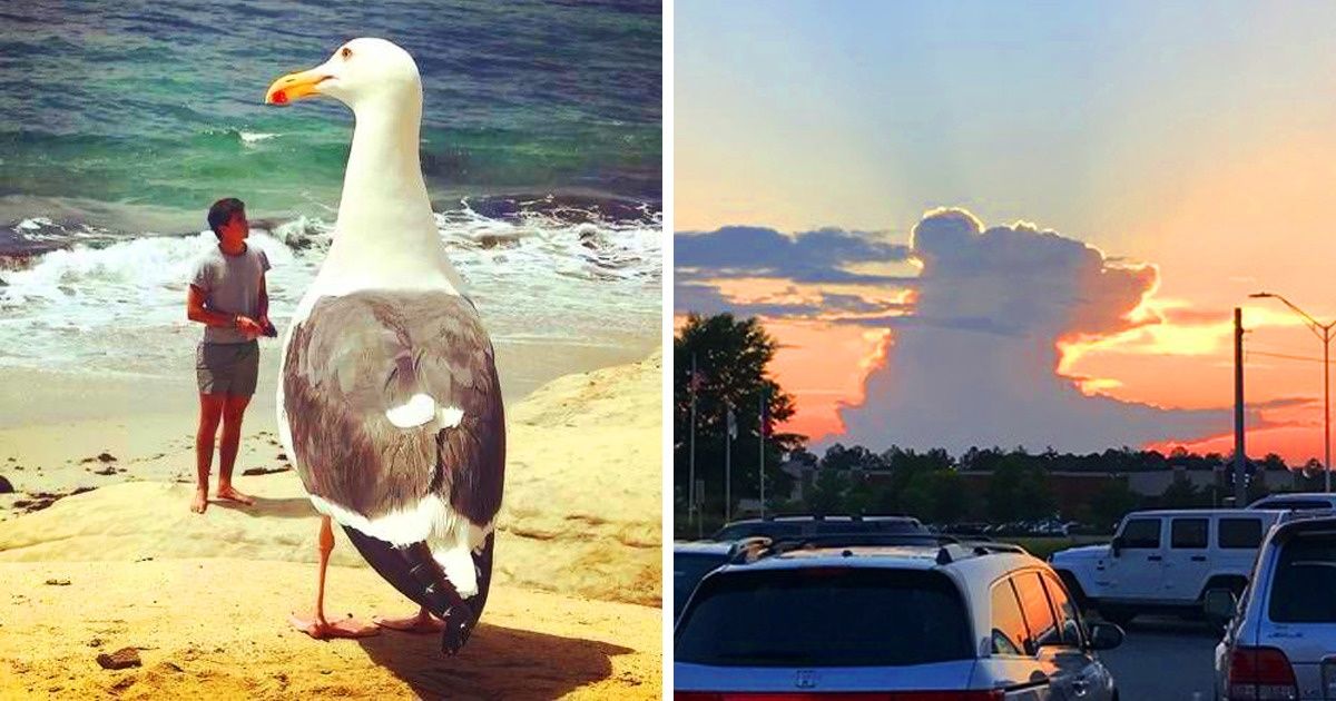 22 Fotos que te harán dudar de tus propios ojos