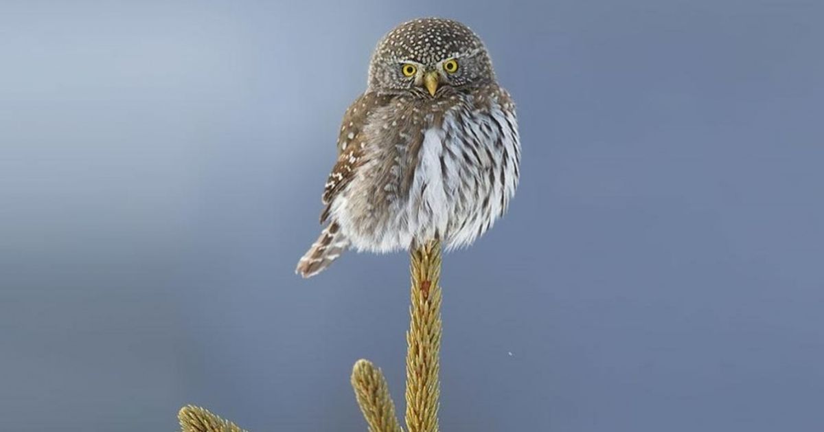 15 Fotografías que relajarán tu mente cansada 15 Fotografías que relajarán tu mente cansada