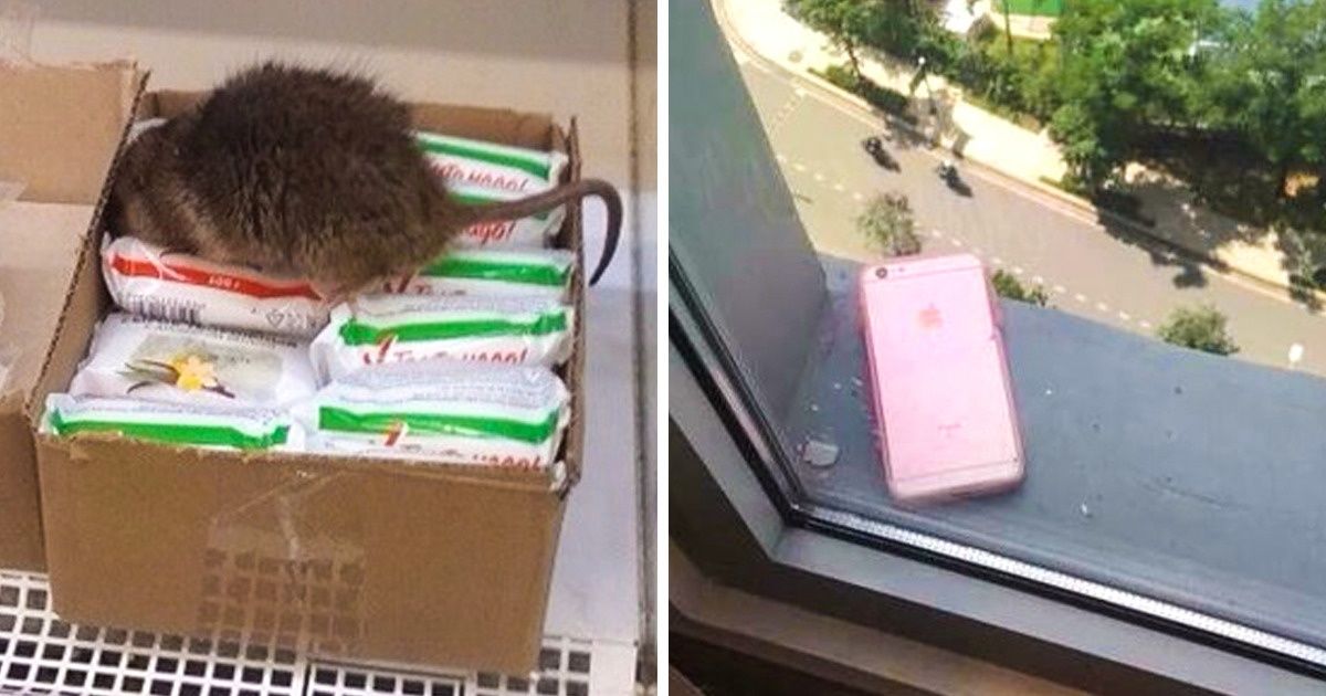 25+ Fotos que demuestran que el destino es más inesperado que muchas telenovelas