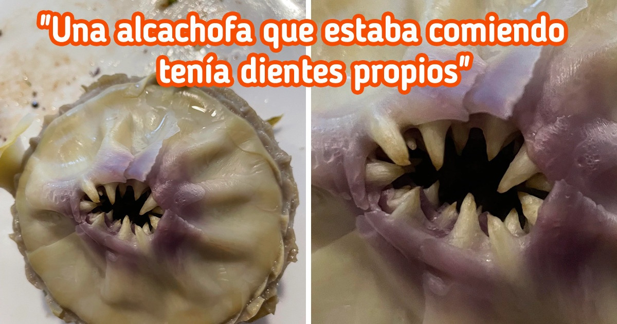 18 Detalles en cosas comunes y corrientes que han dejado más dudas que certezas