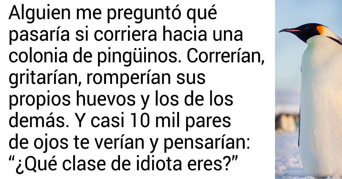 25 Tuits de un explorador polar que describen la complejidad y el esplendor de la vida en la Antártida 25 Tuits de un explorador polar que describen la complejidad y el esplendor de la vida en la Antártida