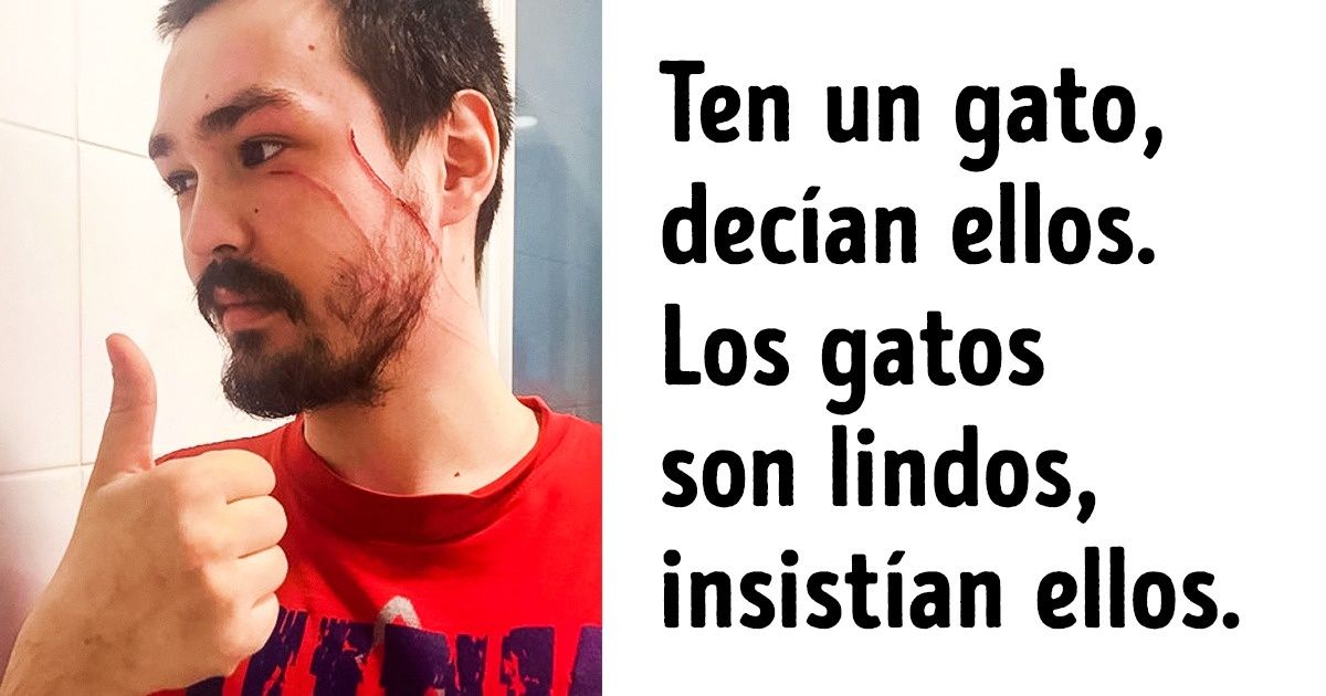 16 Personas para las que las desdichas se han convertido en una forma de hacer sonreír a los demás