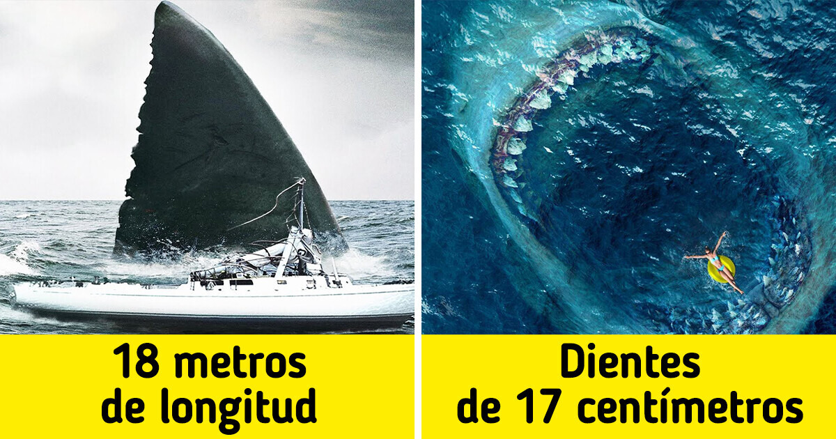El tiburón más grande que ha vivido podría estar oculto en el fondo marino