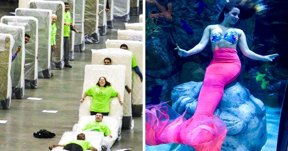 8 Trabajos difíciles de creer que la gente realmente hace para ganarse la vida 8 Trabajos difíciles de creer que la gente realmente hace para ganarse la vida