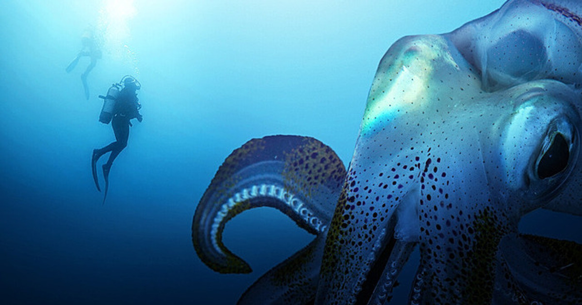 Por qué cuanto más profundo vayas, más animales gigantes verás