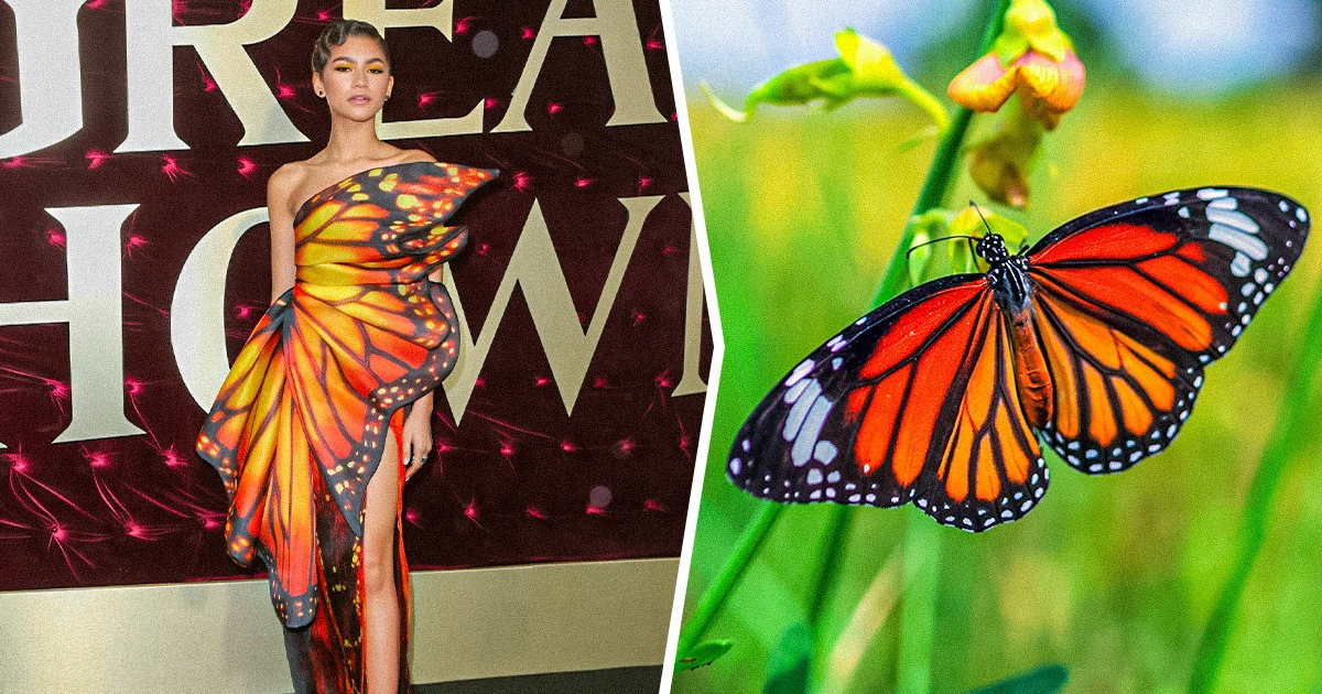 15 Famosas que incluyeron animales en sus atuendos y probaron que son una asombrosa fuente de inspiración