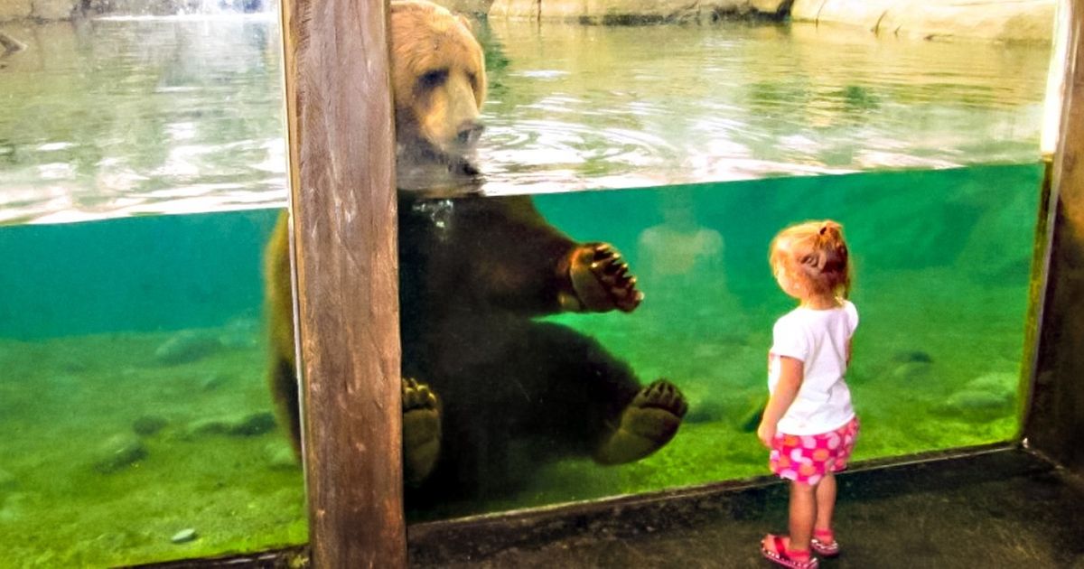 30 Ejemplos de que los niños y las mascotas son lo más tierno de este mundo