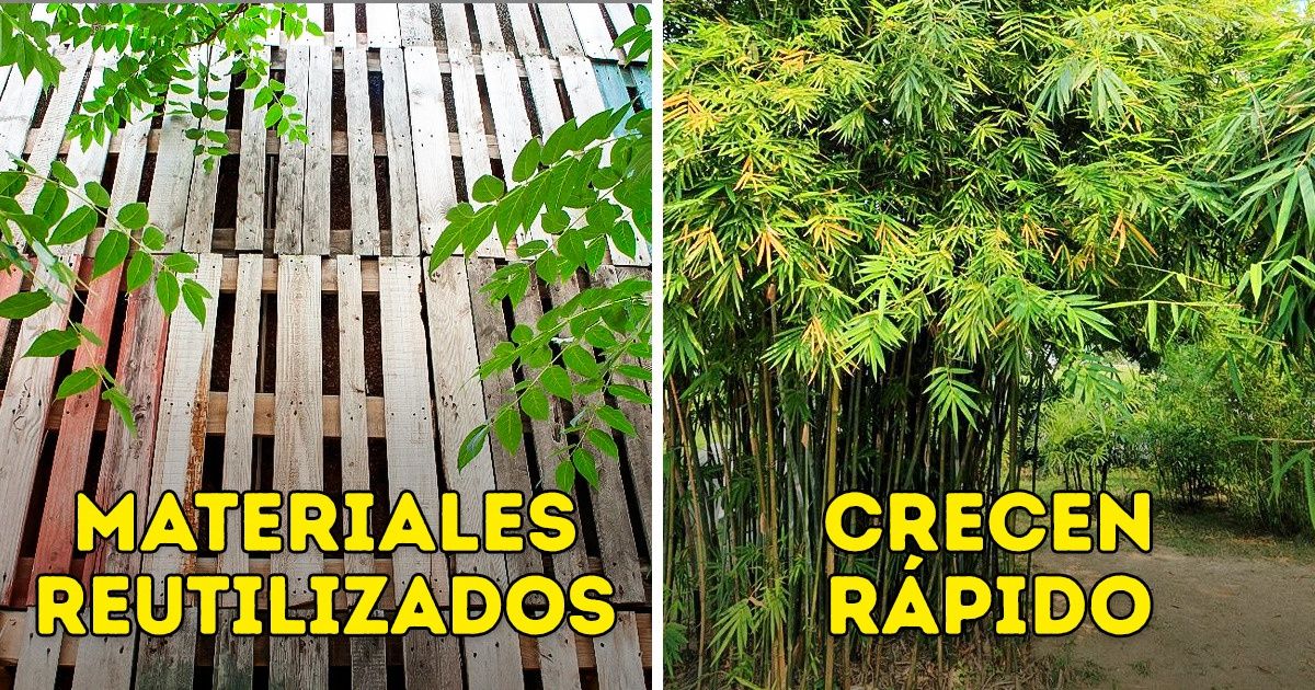 12 Ideas para conseguir privacidad y al mismo tiempo decorar el jardín