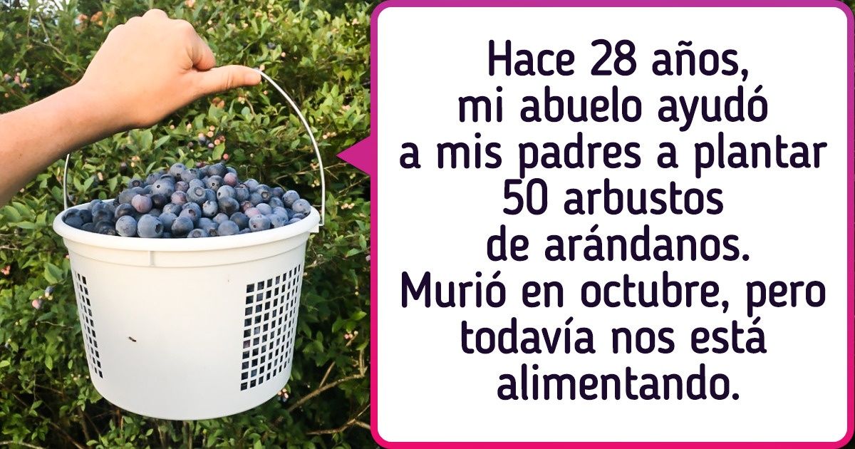 15 Internautas que viven en el campo comparten la experiencia de estar tan cerca de la naturaleza