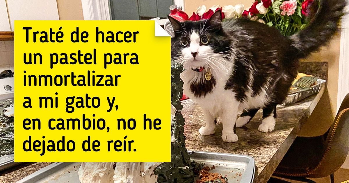 17 Veces en que la realidad superó de muy mala manera la expectativa 17 Veces en que la realidad superó de muy mala manera la expectativa