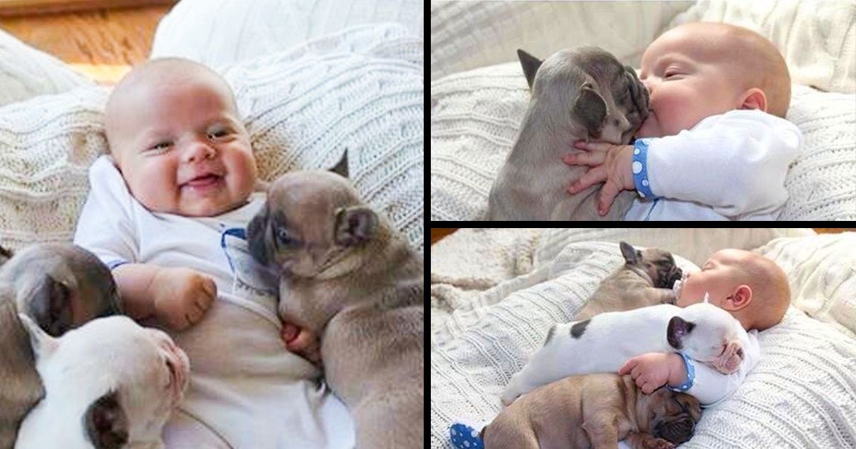 20 Pruebas de que cada bebé necesita una mascota