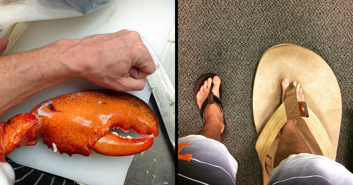 19 Fotos que demuestran que incluso las cosas ordinarias pueden alcanzar tamaños inimaginables 19 Fotos que demuestran que incluso las cosas ordinarias pueden alcanzar tamaños inimaginables