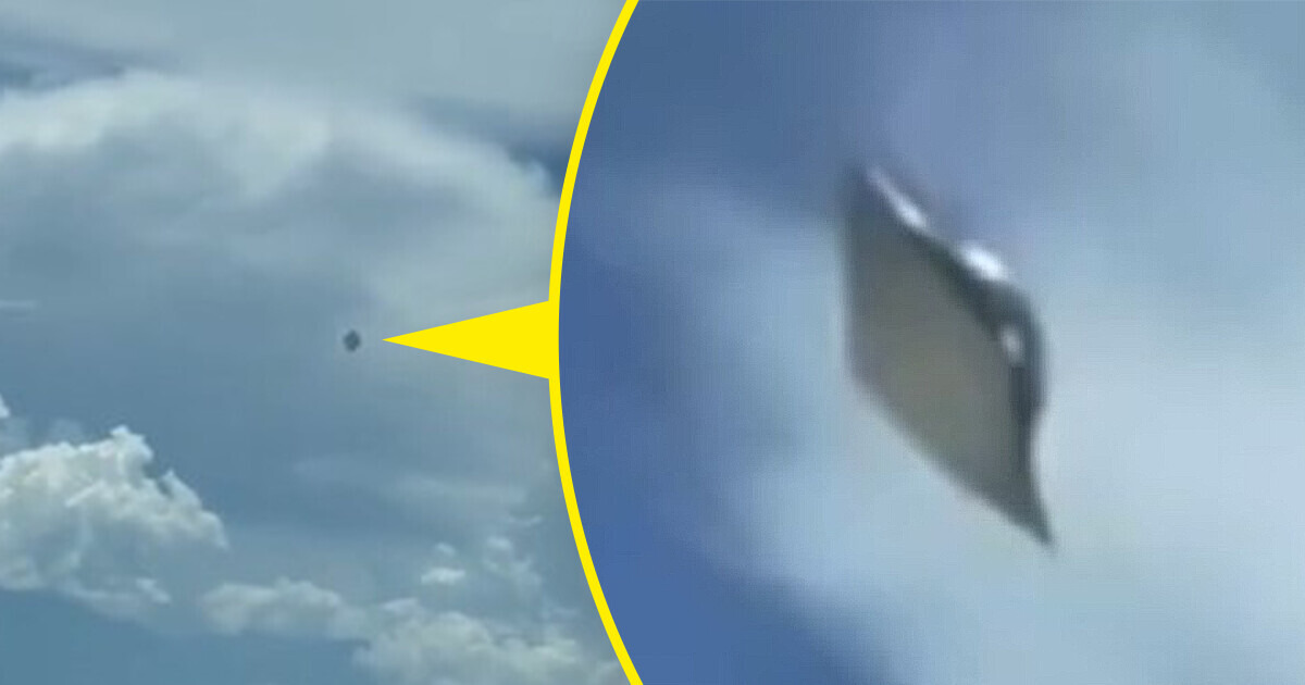 Piloto se topó en el aire con algo que no logran identificar y causa impacto
