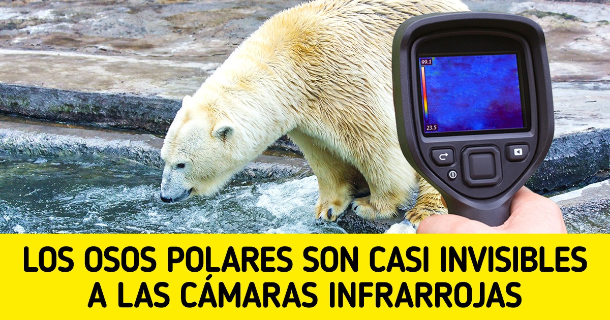 11 Cosas que no nos enseñaron en la escuela, pero son reales 11 Cosas que no nos enseñaron en la escuela, pero son reales