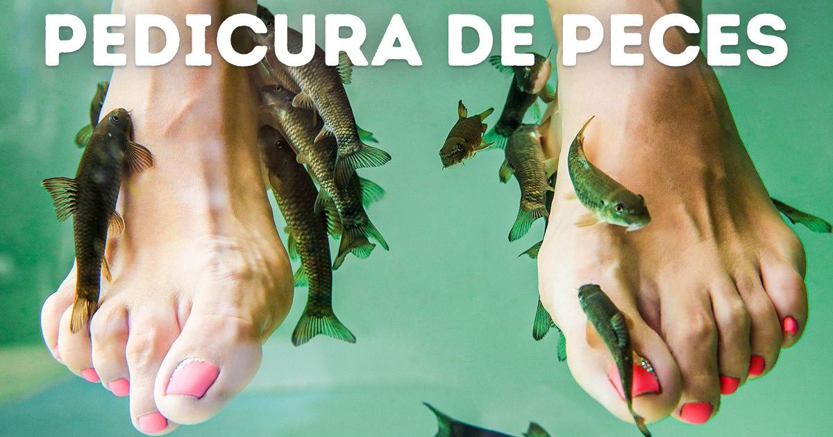 10 Lugares turísticos y de entretenimiento que son crueles con el planeta 10 Lugares turísticos y de entretenimiento que son crueles con el planeta