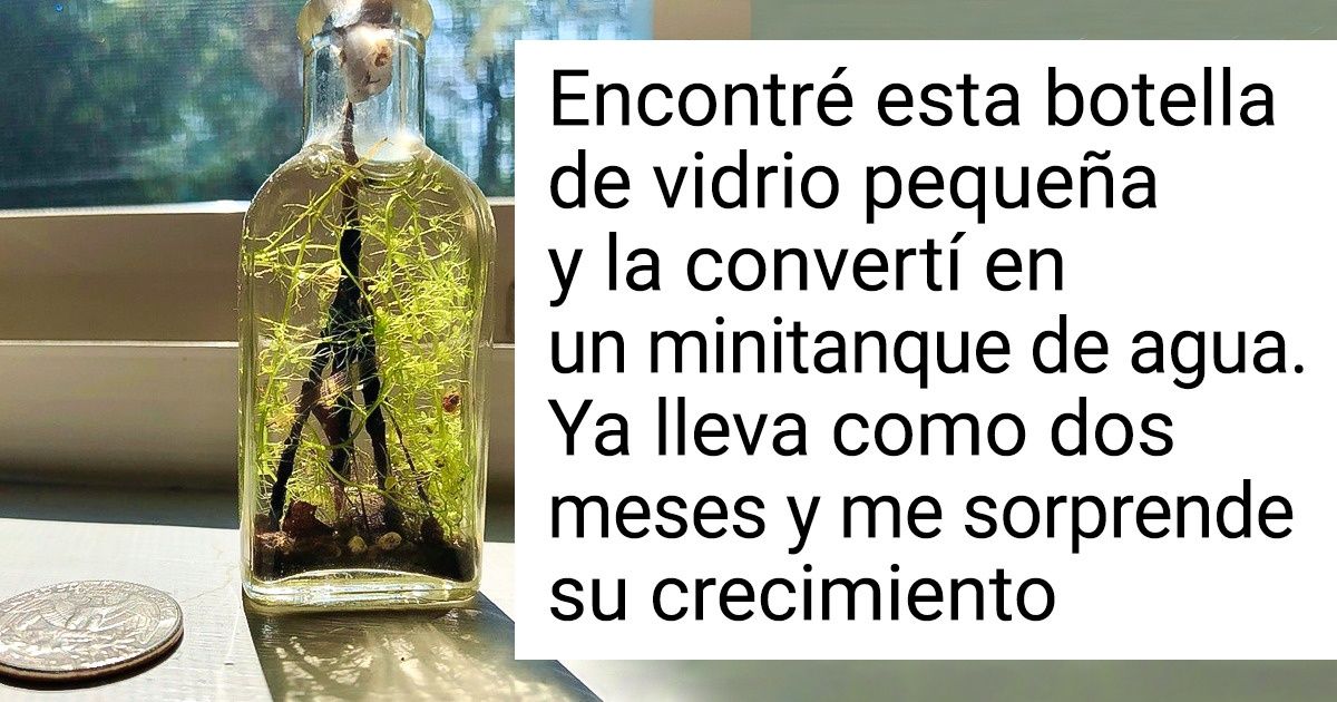 20+ Ideas que puedes probar con los envases de vidrio para reutilizarlos 20+ Ideas que puedes probar con los envases de vidrio para reutilizarlos