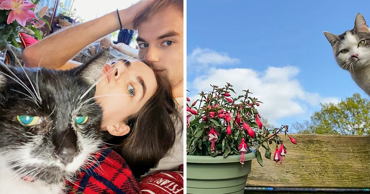 19 Fotos que no salieron como se esperaba, pero que capturaron un momento singular