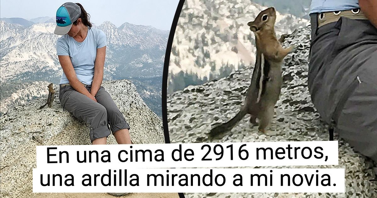 20 Animales que llegaron a decir “hola” en el lugar y momento inesperados