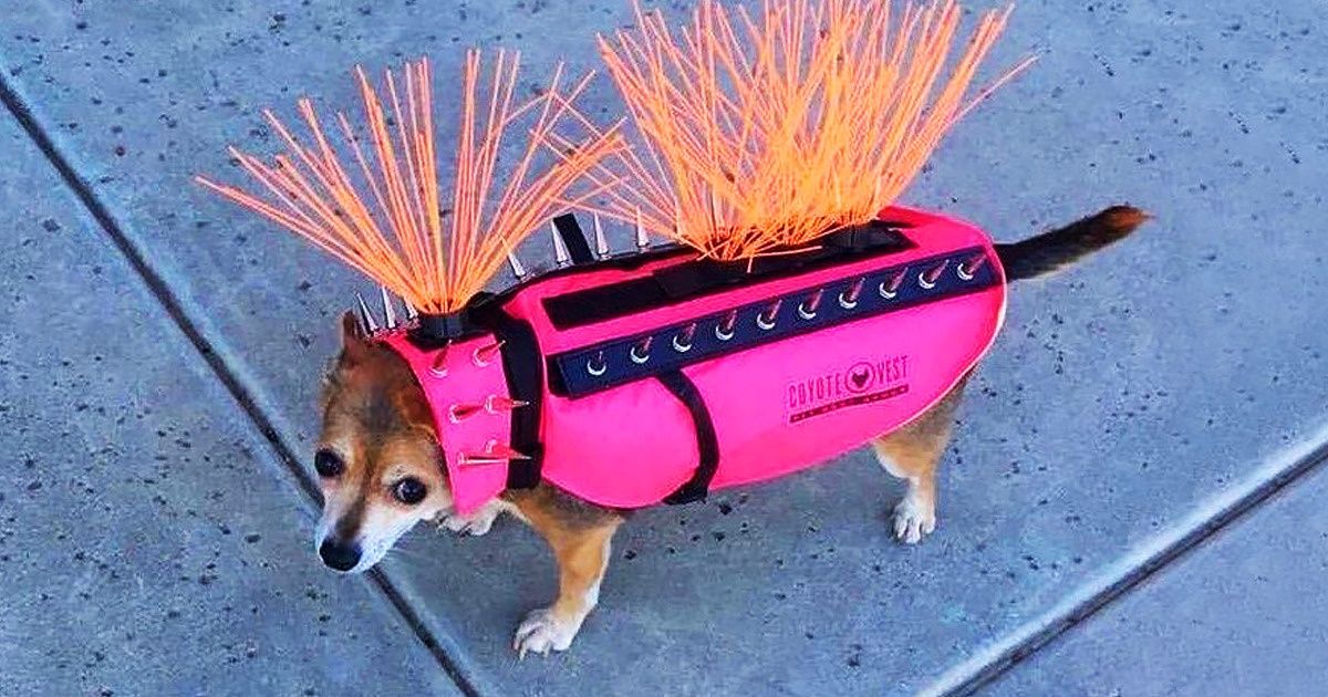 15 Creaciones de diseñadores que se preocuparon por nuestra comodidad