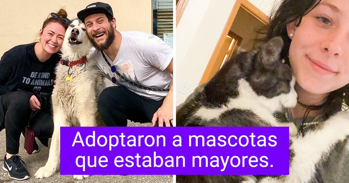 25 Animales que cayeron en buenas manos y consiguieron la vida llena de amor que se merecían 25 Animales que cayeron en buenas manos y consiguieron la vida llena de amor que se merecían